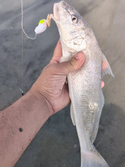 High Tide - White/Chartreuse